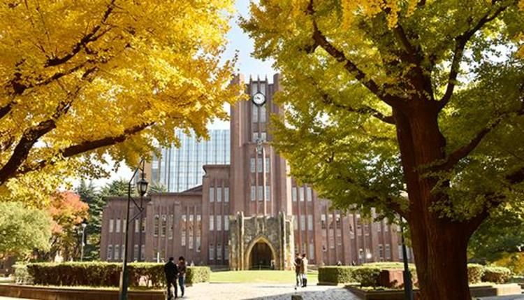 大学で広がるリヤカー活用事例と導入メリット