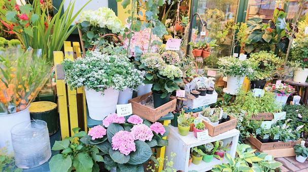 リヤカー花屋の開業術｜低コストで始める移動販売の成功法