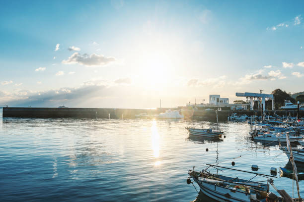 漁業向けリヤカーおすすめ4選｜海辺や港で使える耐久モデル