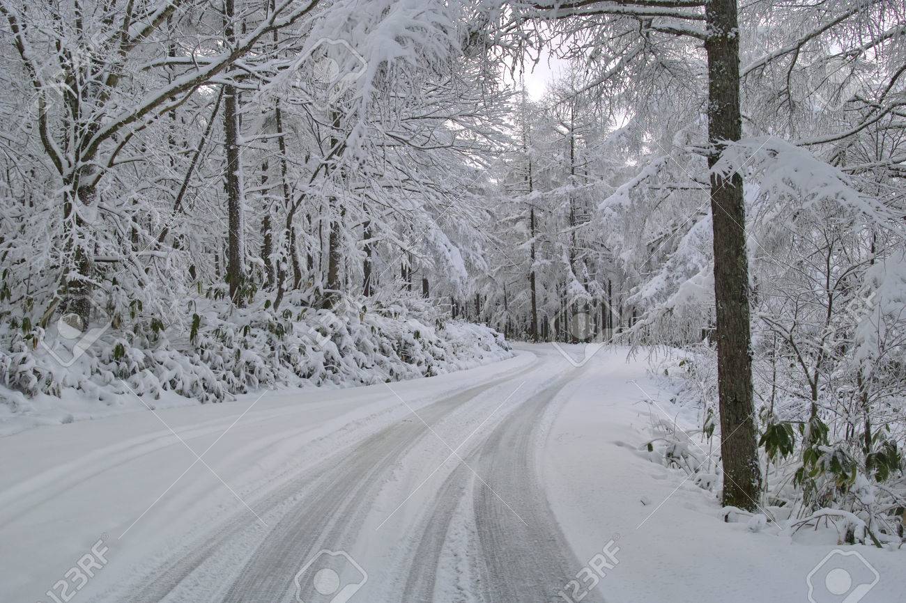雪道で使えるリヤカー徹底比較｜安定性と選定ポイント
